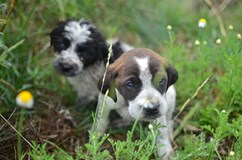 Ladislav Zibura – Už nikdy pěšky po Arménii a Gruzii 17:30