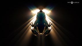 Bufo Alvarius: The Underground Secret