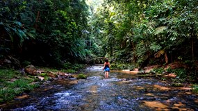 Peru- amazonská očista aneb 8 měsíců mezi šamany + návštěva 