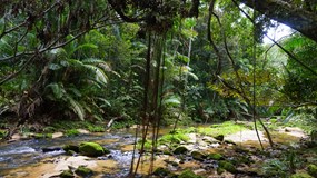 Peru - amazonská očista aneb 3 měsíce mezi šamany (1/2)