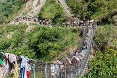 Nepál - hlavně sololit a killer (Manaslu circuit + Poon hill