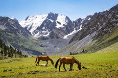 Kyrgyzstán: Trochu jiný mainstream (Jihlava)