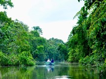 Borneo