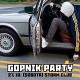 Gopnik Party