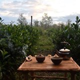 Sdílená čajová zahrada