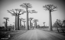 	 Filmový večer: Madagaskar (Mart Eslem)