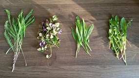 Jarní aromaterapie