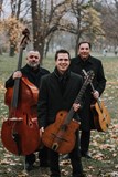 Diknu Schneeberger Trio (AT)