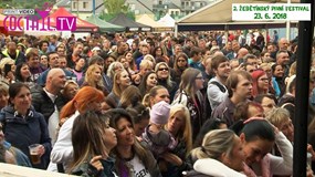 Žebětínský pivní festival s kapelou Divokej Bill revival