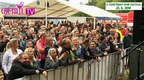 Žebětínský pivní festival s kapelou Divokej Bill revival