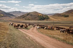 Mongolsko - Z Ruska do Mongolska