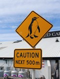 Autostopem za krásami Nového Zélandu II.