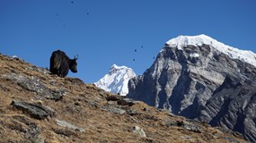 Nepál - od Everestu k nosorožcům (Jindřich Hulín-Mahalec)