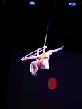 Aerial Arts Competition – AIRY FAIRY 2019.