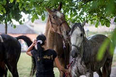 Svátky řemesel a krásy ušlechtilých koní