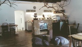 V lese, Olomouc