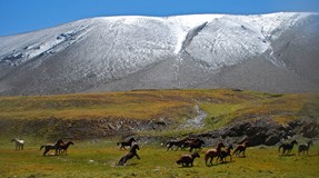 Kyrgyzstán – putování s batohem po Tian-Shanu