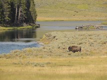 USA: Yellowstone, prérie a Indiáni