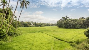 Srí Lanka - ráj na zemi