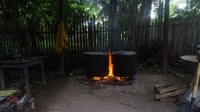 Peru-amazonská očista aneb 3+5 měsíců mezi šamany (Motalová)
