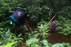 Papu Papua - za lidojedy