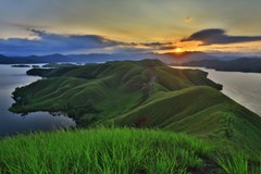 Papu Papua - za lidojedy