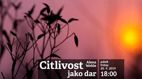 Citlivost jako dar