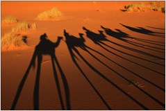 Maroko - přes Vysoký Atlas k písečným dunám Erg Chebi