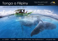 Tonga a Filipíny, království velryb a po stopách žraloků