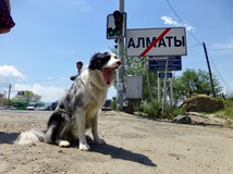 Travel stand-up: Stopem se psem v Asii @Česká Lípa