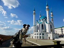 Travel stand-up: Stopem se psem v Asii @Třebíč