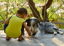 Travel stand-up: Stopem se psem v Asii @Rožnov pod Radhoštěm