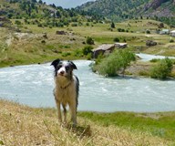Travel stand-up: Stopem se psem v Asii @Rožnov pod Radhoštěm