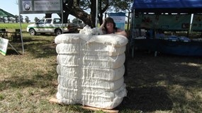 Argentina – putování od pamp k Andám