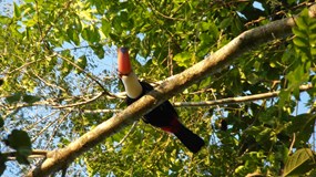 Argentina – putování od pamp k Andám