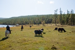 Mongolsko - ohromná země s ohromnými možnostmi