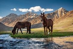 Kyrgyzstán a Tádžikistán - Pavel Svoboda - Kopřivnice