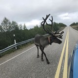 Elektroautem na Nordkapp a zpět / Jindřich Buk