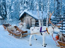 Laponsko – ze dne na den arktickým průvodcem (Martin Vlk)