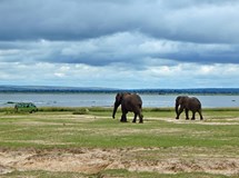 Uhrančivá Uganda - Kulturní koktejl pro milovníky dálek 