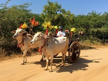 Jak Titan a Inzulín přežili Myanmar