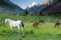 Kyrgyzstán - země koní a Nebeských hor