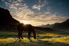 Kyrgyzstán - země koní a Nebeských hor