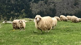 Přeběh treku Peaks of Balkans / Ondřej Švirák