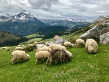 Přeběh treku Peaks of Balkans / Ondřej Švirák