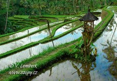 BALI - ráj na východě / Vladimír Lemberk