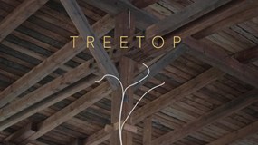 Jazzový večer v klubech: TREETOP