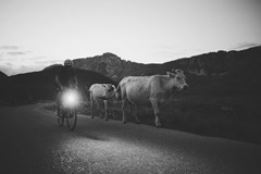 Onboard - Transcontinental Race - česká premiéra filmu