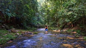 Peru - amazonská očista aneb 10 měsíců mezi šamany