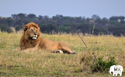 Od horských goril až na střechu Afriky (Marek Kovář)